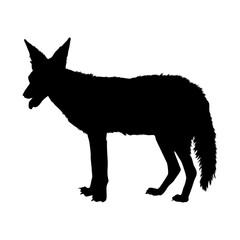 Standing Jackal (Canis Aureus) On a Side View Silhouette Found In Map Of African And Europe. Good To Use For Element Print Book, Animal Book and Animal Content