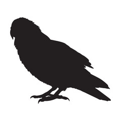 Standing Kakapo Bird (Strigops Habroptilus) On a Side View Silhouette Found In Map Of New Zealand. Good To Use For Element Print Book, Animal Book and Animal Content