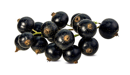 Fresh black-currants isolated on white background with clipping path