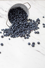 Fototapeta na wymiar Overturned White Colander of Freshly Picked Blueberries on a White Countertop