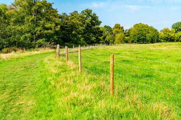 North Downs in Surrey