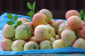Apples in a basket