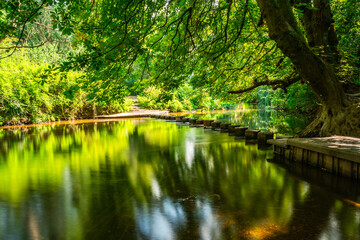 Stepping Stones