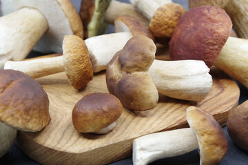 Boletus mushrooms on a wooden tray. Boletus edulis. Closeup