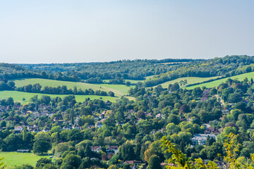 North Downs in Surrey, UK