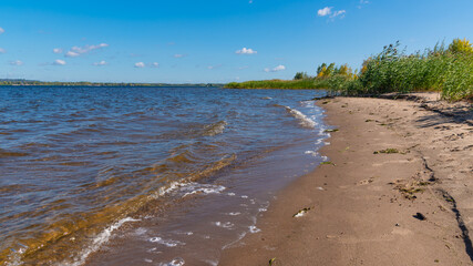 Deserted sandy shore with thickets of bushes, reeds and trees on a sunny day of early autumn
