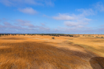 Obraz premium Alentejo from balloon