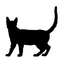 Walking Leopard Cat (Prionailurus Bengalensis) On a Side View Silhouette Found In Map Of Asia. Good To Use For Element Print Book, Animal Book and Animal Content