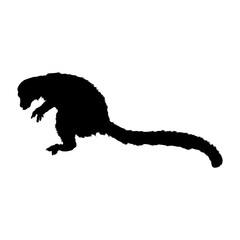 Jumping Lemur (Lemur Catta) On a Side View Silhouette Found In Map Of Africa. Good To Use For Element Print Book, Animal Book and Animal Content