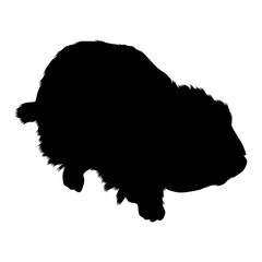 Walking Lemming (Lemmus Lemmus) On a Side View Silhouette Found In Map Of North America. Good To Use For Element Print Book, Animal Book and Animal Content