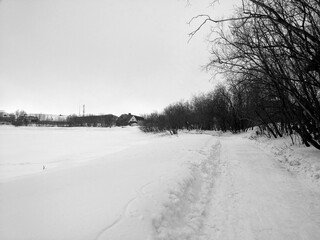 Obraz premium winter black and white frames Park Russia
