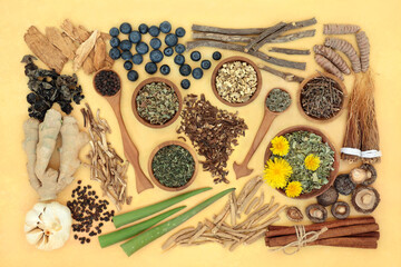 Adaptogen herb & spice health food selection. Natural plant based foods that helps the body deal...