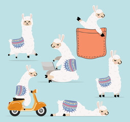Cartoon llama and alpaca character collection © focus_bell