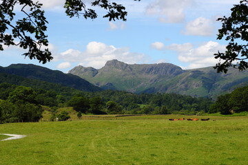 Fototapeta na wymiar Langdale Valley, The walk to Chesters by the River