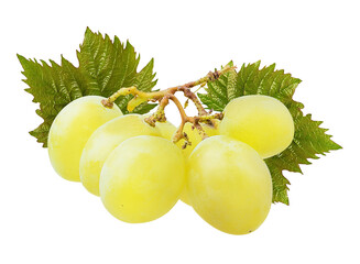 Fresh grapes isolated on white background with clipping pass