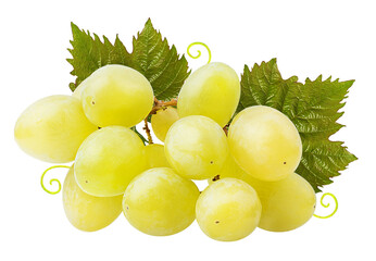 Fresh grapes isolated on white background with clipping pass