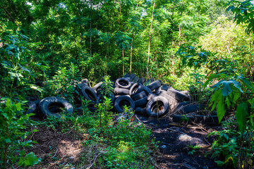 Tires at an Illegal Dump Site in Wooded Area of New Orleans