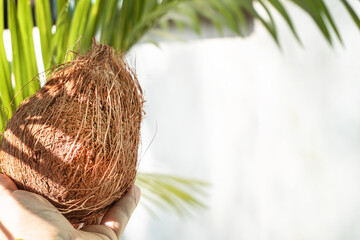 Kokos, owoc orzech tropikalny, na jasnym tle. - obrazy, fototapety, plakaty