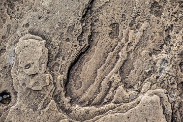 Fototapeta na wymiar Closeup of paving stones showing the texture and patterns in the stone surface.