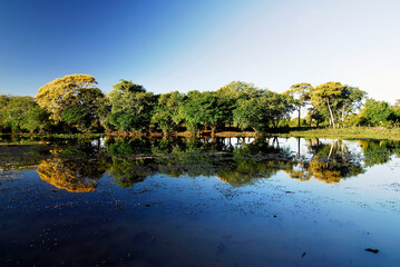 Pantanal