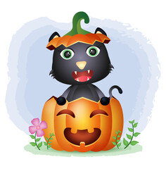 a cute black cat in the halloween pumpkin