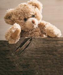 Teddy bear behind a wooden plank, card template