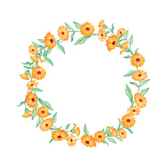 Watercolor floral chamomile wreath