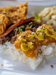 Chicken rice and vegetable