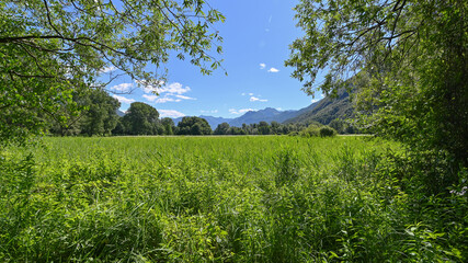 Panoramica della campagna in tarda estate