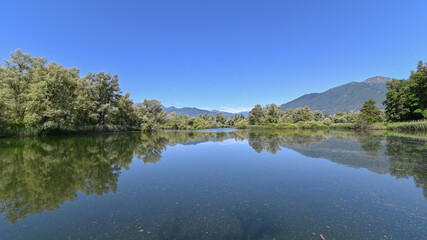 Panorama di un bel lago circondato da una grande palude con alberi verdi e cielo blu