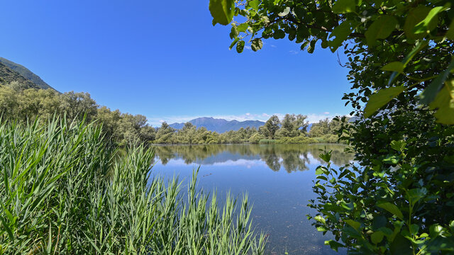 Panorama di un bel lago circondato da una grande palude con alberi verdi e cielo blu
