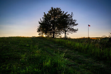 Tree silhouette and flag on meadow in sunset, Provodov.