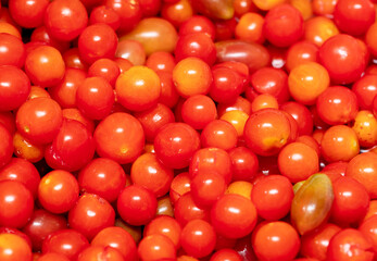 Red cherry tomatoes as background.