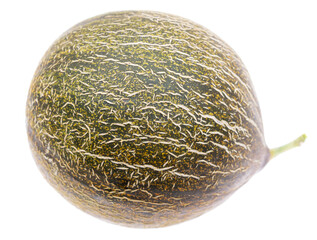 Ripe melon isolated on a white background.