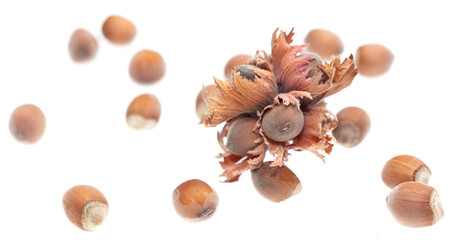 Hazelnuts isolated on a white background.