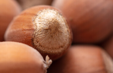 Close up of hazelnuts as background