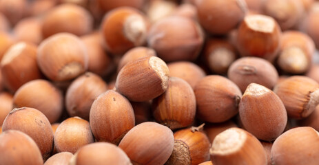 Close up of hazelnuts as background