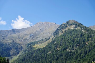 Fototapeta na wymiar Berglandschaft Passeiertal