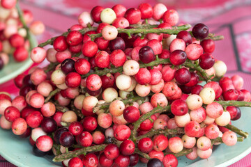Antidesma thwaitesianum, Thai Berries also known as Mamao Luang
