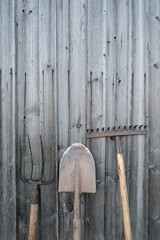 Gardening tools, shovel, rake and pitchfork stand against an old wooden barn wall, in a village courtyard. Copy space.