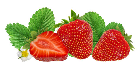 Fresh strawberries with leaves and flower isolated on white background with clipping path