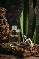 Cosmetic serum in a glass bottle with a pipette on a dark background with natural materials - ash...