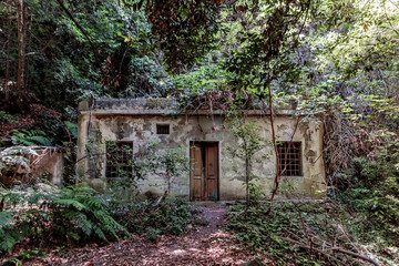 Old abandoned house in the forest