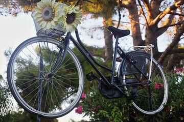 Fototapeta na wymiar Bicicletta