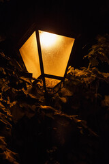 The light of the street lantern 