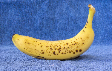 A lonely banana.