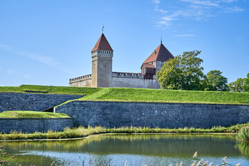 Fototapeta na wymiar Castle with the river around it