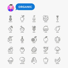 Fruits, vegetables, berries and nuts thin line icons set: pineapple, apple, avocado, cabbage, carrot, cherry, coconut, grapes, tomato, broccoli. Vector illustration.