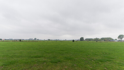 Fototapeta na wymiar Agricultural field near Millingen aan de Rijn, The Netherlands
