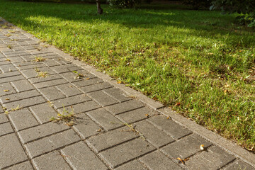 Separation of the sidewalk and lawn with a curb. In places, the grass makes its way between the...